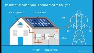 Solar Panels for Your Tesla?