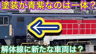 国鉄型機関車の宝庫で色の違う車両を発見！機関車や貨物列車を見るのにおすすめスポット