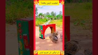 عجیب ترین پھندا| آپ لوگوں کی تفریح کے لیے|#comedy