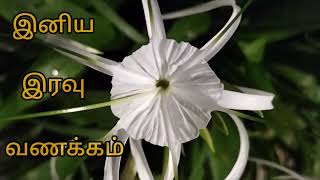 Good Night 🌙⭐ | இனிய இரவு வணக்கம் 🙏