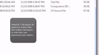 WebGrid - Advanced Column Filter