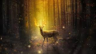 Fantasy Forest: Ambiance and Meditation Music.