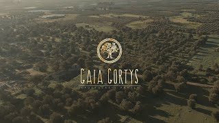 Gaia Gortys | Apostolakis Family - Γαία Γόρτυς | Οικογένεια Αποστολάκη-olive oil-honey