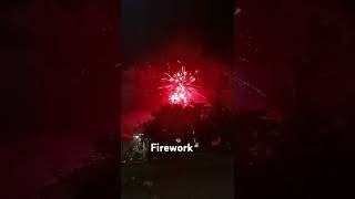 Firework#fireworks #happynewyear