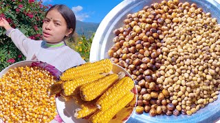 village popcorn and soybean fry by me ( sumnima rai ) || village organic food ||