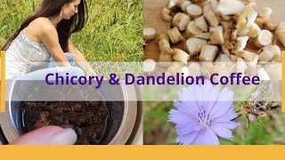 CHICORY COFFEE WITH DANDELION, NATURAL COFFEE SUBSTITUTE