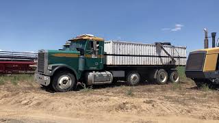 Lot 110 1985 Freightliner Grain Truck