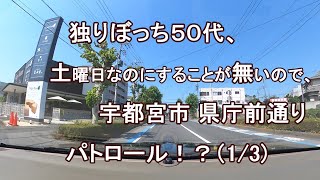 独りぼっち５０代、土曜日なのにすることが無いので、宇都宮市 県庁前通り パトロール！？（1/3）