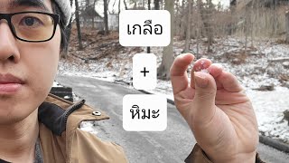 ทำไมต้องโรยเกลือ? - เกลือ หิมะ และโครงสร้างพื้นฐานของเมือง