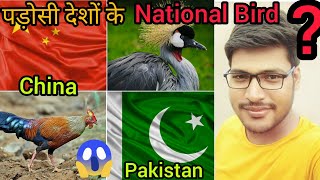 India के पड़ोसी देशों के National Bird क्या है😳 #shorts #backtobasics #ShivaShekhar #Trending #facts