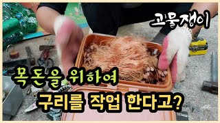 구리 작업하기 목돈을 위하여...