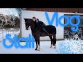 STALL VLOG EISIGKALT! ❄️🐴 annchenaugustine