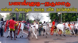 ETSS rackla race - பனங்குடி (நடுமாடு-23.06.2021) bulls race