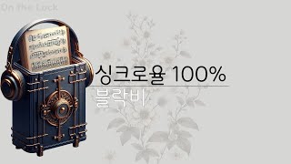 블락비 - 싱크로율 100% (가사)