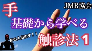 手の触診を学びたい新人理学療法士・作業療法士さん必見！手部の触診の仕方＃1