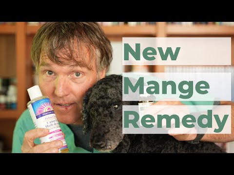 Does apple cider vinegar kill mange?