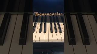 Bösendorfer Imperial Extra Bass 🤩