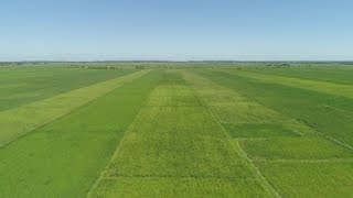 Landscape with Rice Terrace Field. Philippines, Luzon. | Stock Footage - Videohive