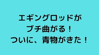 エギングロッドに青物がかかると‥‥