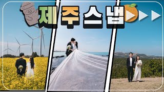 [신혼여행 VLOG] 혼저옵서예🧡 | 신행스냅 | 제주사진맛집 | 색감 맛집 | 데이오프제주 | 제주웨딩스냅