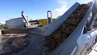 Wyma Wet Hopper - Potatoes