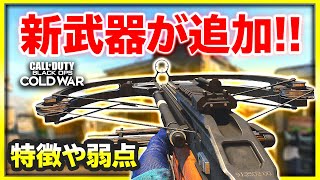 【新武器】アプデで「R1 Shadowhunter(クロスボウ)」が追加！特徴と予想外過ぎる弱点など紹介します！【CoD:BOCW:実況Vol.94】【ぐっぴー】