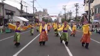 華笑天～かえで～ 2016福山ばら祭 ﾛｰｽﾞﾊﾟﾚｰﾄﾞ mususukunjp