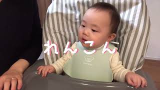 【離乳食144日目】初めてれんこんを食べた赤ちゃん【生後10ヶ月】