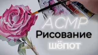 АСМР 🎧 шёпот🎨🌹Рисование розы акварелью