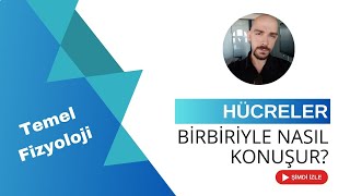 Hücreler Arası İletişim (Gap Junctions, Parakrin, Otokrin, Sinirsel İletişim, Endokrin İletişim)