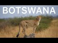 Botswana Safari Vlog | Moremi Game Reserve, Savuti Chobe National Park, Okavango Delta