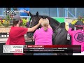 woodbine tbred july 19 2024 race 7 woodbine horse race replay