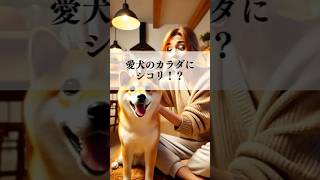 獣医師解説！愛犬の体のしこりをどう見分ける？　#犬のいる生活