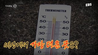 역대급 폭염, 세상에서 가장 더운 곳은 어디일까? #지식채널e