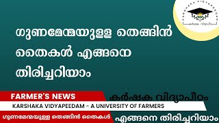 *ഗുണമേന്മയുള്ള തെങ്ങിൻതൈകൾ എങ്ങനെ തിരിച്ചറിയാം*