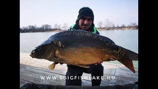 Haltelepítés a gyulai S Big Fish Lake-en