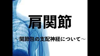 【愛媛松山市　リハビリ】肩関節の関節包の支配神経について。