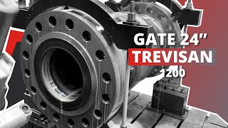 ARRI MACHINING Gate 24# Trevisan 1200