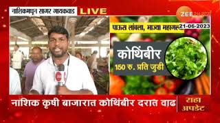 Coriander Price Increased | व्यंजनाची लज्जत वाढवणारी कोथिंबीर महागली, पाहा काय आहेत सध्याचे दर?