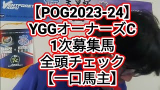 【POG2023-24】YGGオーナーズC1次募集馬全頭チェック【一口馬主】