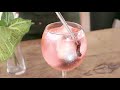 gin tonic flor de hibiscus