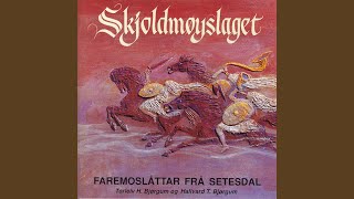 Skjoldmøyslaget - Form Etter Olav Heggland