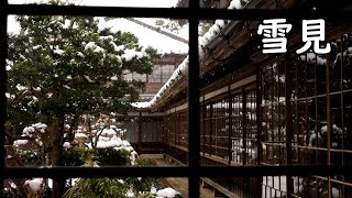 雪舞う庭園で ただただ降る雪を見つめる映像美（４K）