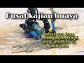 Pusat kajian buaya | Sarang buaya, Pasir gudang