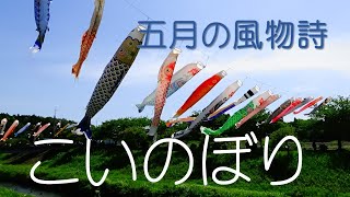 【村田川のこいのぼり】千葉県市原市