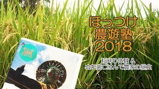 平成30年10月8日 埼玉県宮代町 ほっつけ農遊塾2018