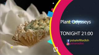 Daily Promo สารคดีเด่นประจวันที่ 1 ม.ค. 2561 - Plant Odysseys Ep.1