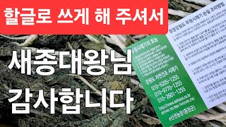 생방송 강원도시래기 설명은 쉬운 한글로!0e신선농장(홍천)