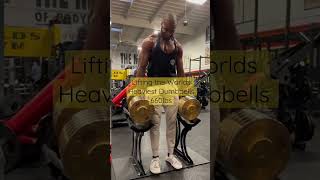 Lifting the worlds heaviest 330 pound golds dumbbells at golds gym Venice #shorts