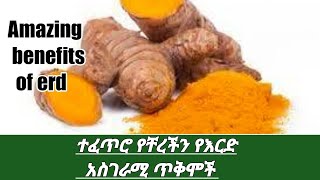 የእርድ አስደናቂ ጥቅሞችና ጉዳቶችን አብረን እንይ